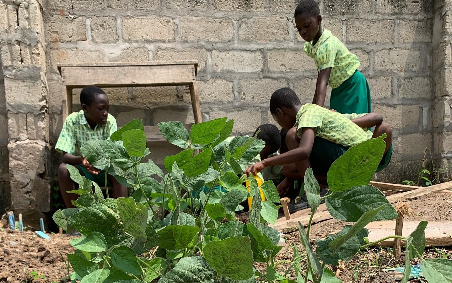 Planting Seeds, Growing Futures!